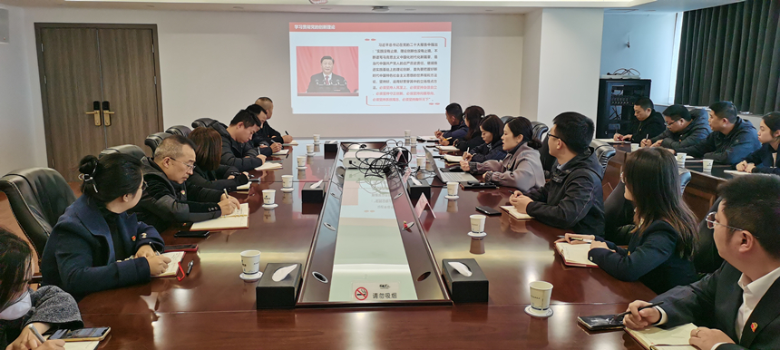 集團(tuán)黨委委員、副總經(jīng)理賀維維同志講授專題黨課