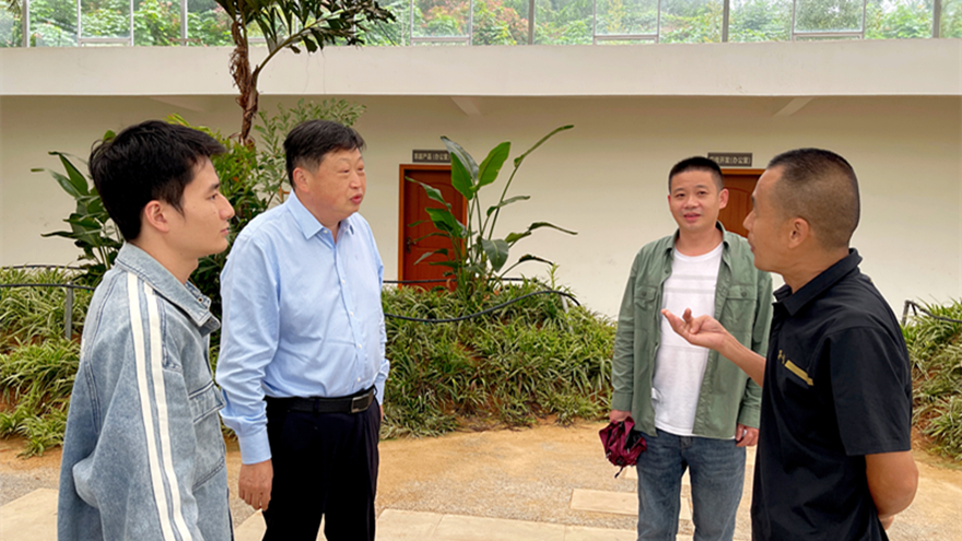 綿投集團(tuán)黨委書記、董事長李桂炳調(diào)研鄉(xiāng)村振興駐村幫扶工作